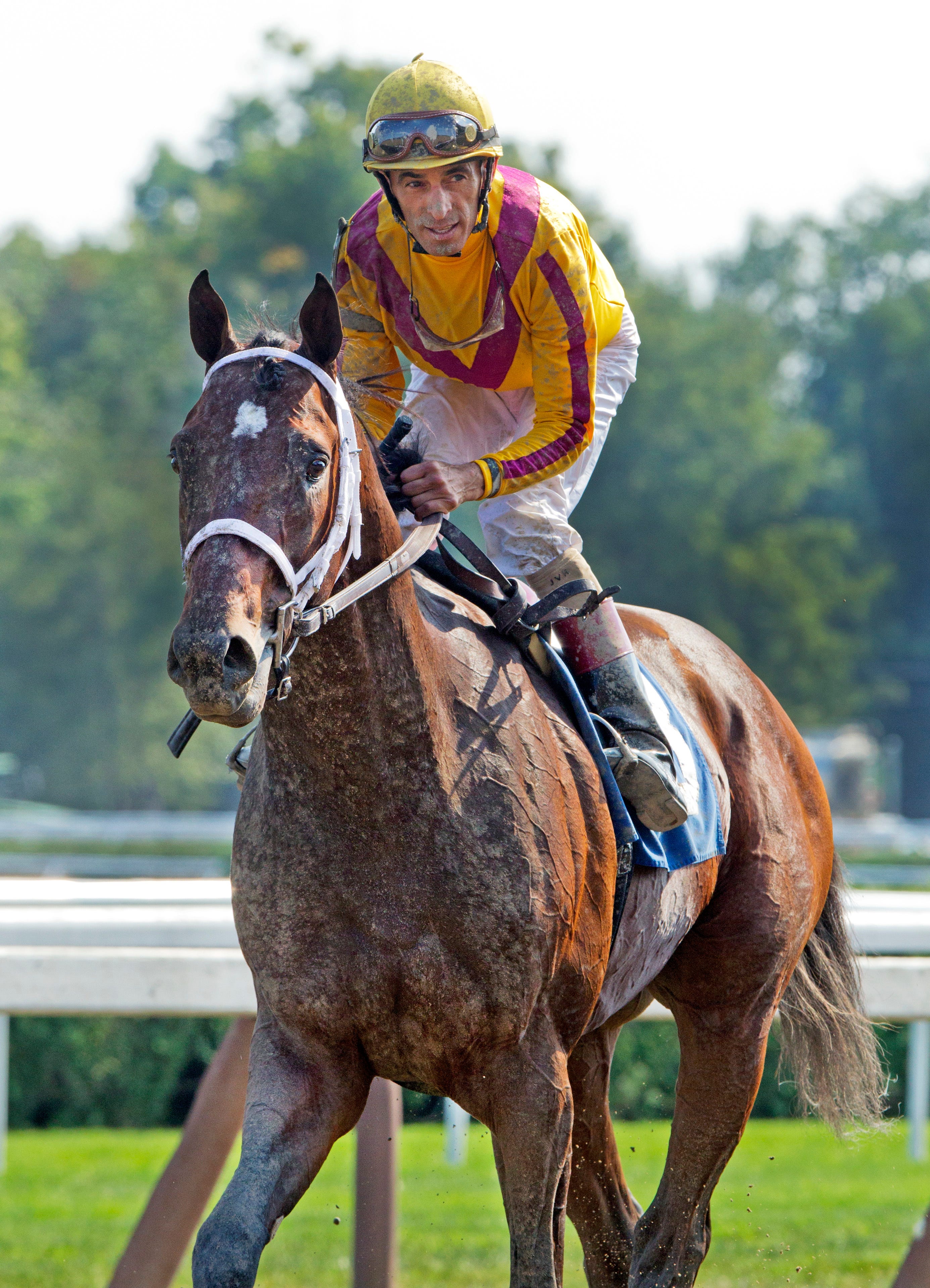 Jess's Dream, lone son of Rachel Alexandra, succumbs to laminitis